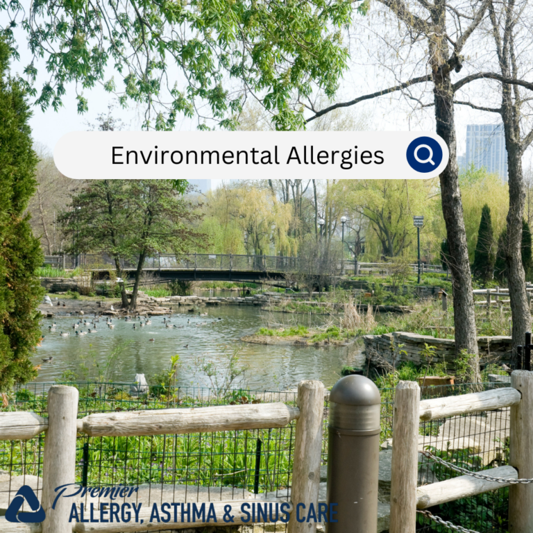 Understanding Environmental Allergies Causes Symptoms And Management